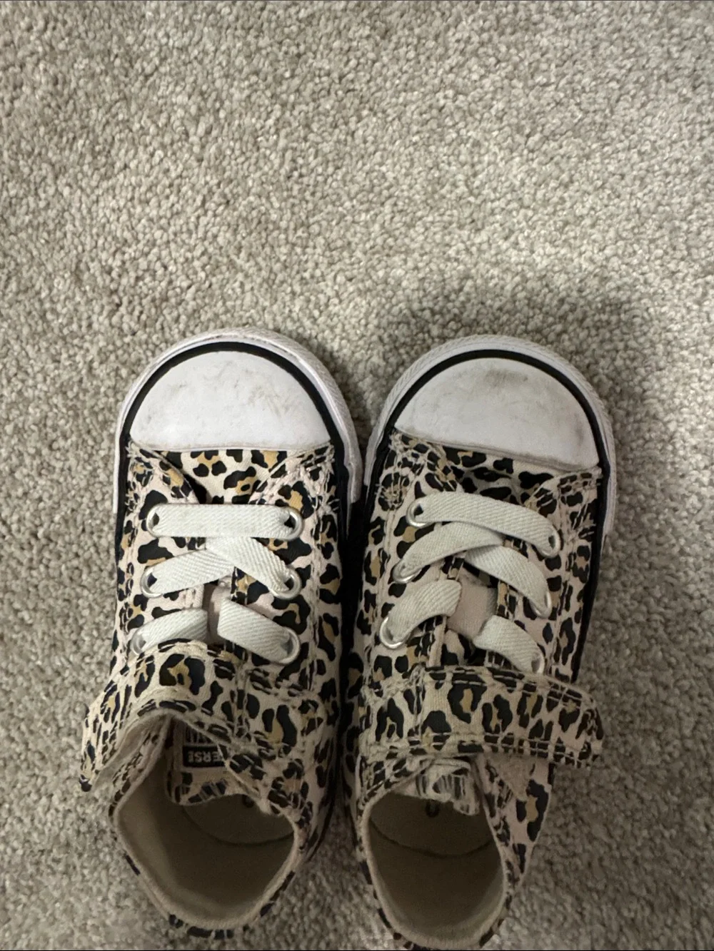 Converse Kids Leopard Canvas Sneakers in Beige and Black